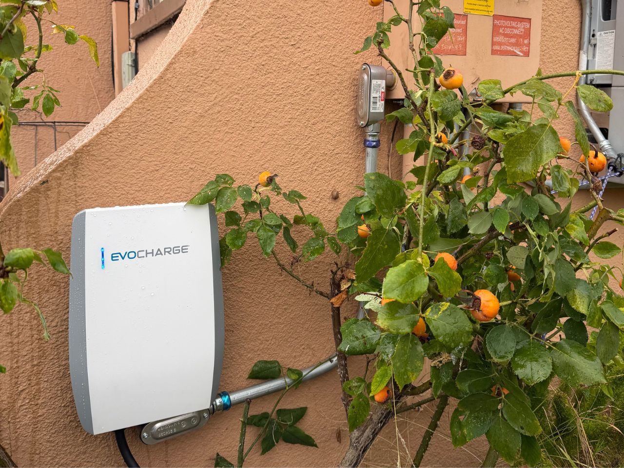 EV charger plug ready for use